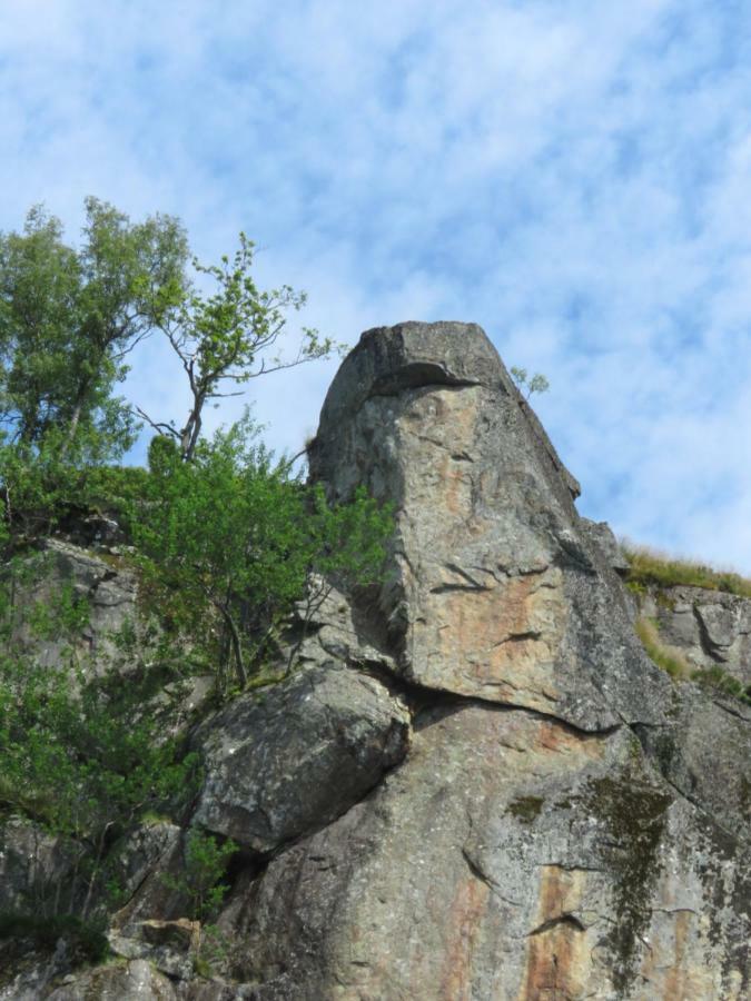 Ovstefjellsa Gard &Aktivitet Senter Hotell Flekkefjord Exteriör bild